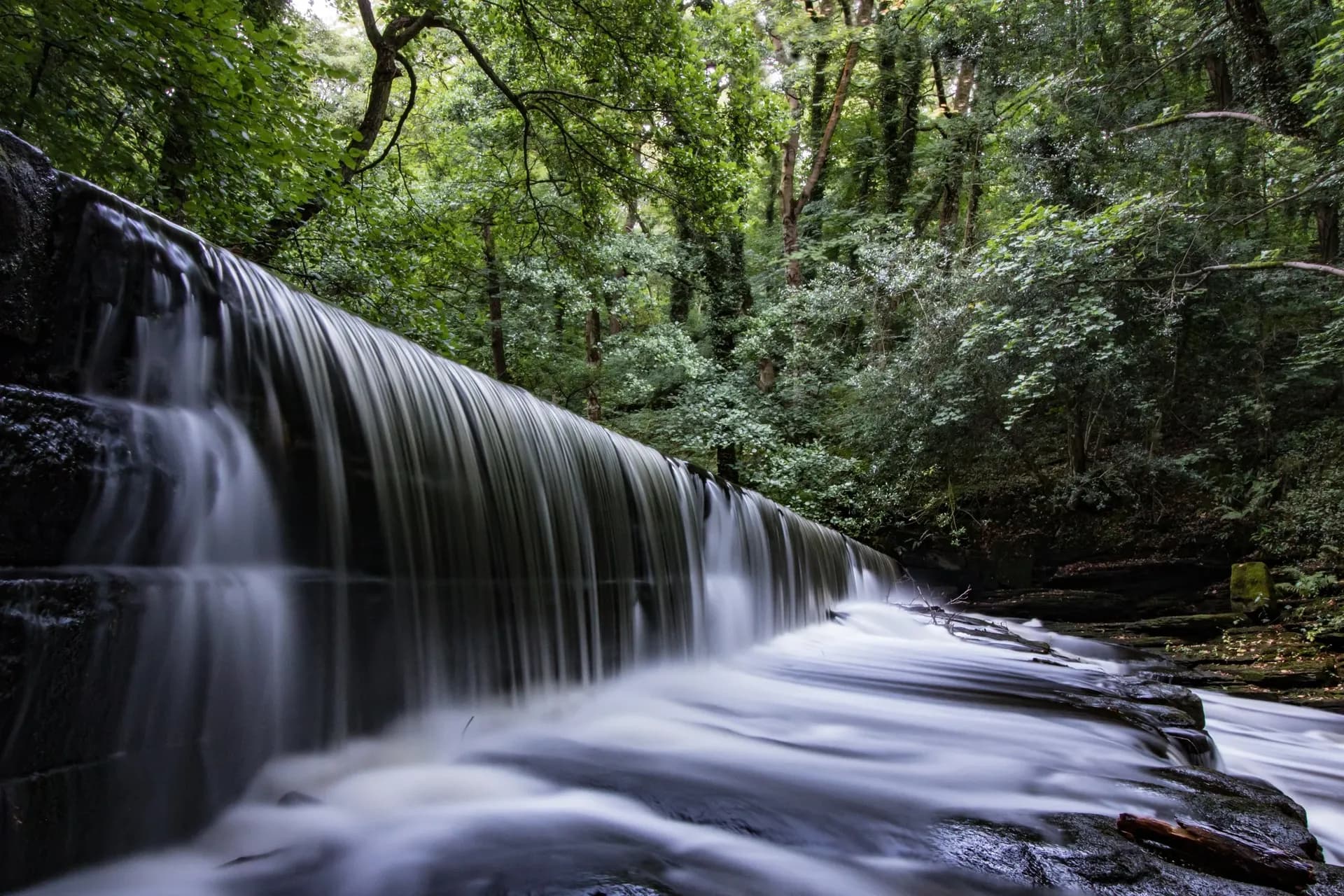 River Don at Green Moor, by Chris Melladay